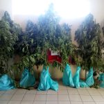 13082020dytikiellada