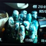 17082020katalipsithess011s