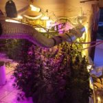 02092020gadanark002s