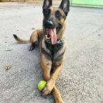 02092020kentrikimakedonia002s