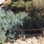 02092020kritikan006s