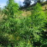 03092020dytikimakedonia001