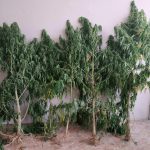 03092020dytikimakedonia002