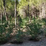 04092020gadafyteia001