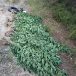 04092020gadafyteia002