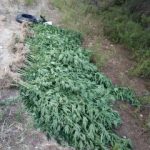 04092020gadafyteia002s