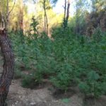 04092020gadafyteia004s