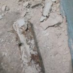 06092020-ereuna_kerkyra015s