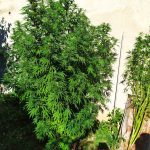 07092020dytikimakedonia001