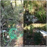07092020kannabhfvkida003