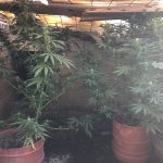 07092020kannabhreuymno002