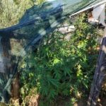 08092020kentrikimakedonia001s