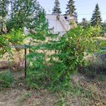 08092020kentrikimakedonia002