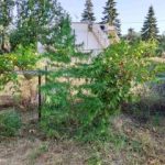 08092020kentrikimakedonia002s