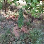 08092020kentrikimakedonia003s