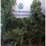 10092020sterellad001s