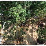 10092020sterellad002