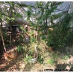 10092020sterellad003