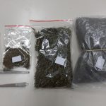 09012021narkotikaionianhsia