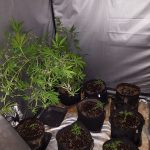 01022021amthrakna002