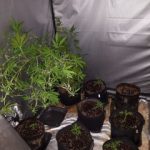 01022021amthrakna002s