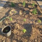 01072021voreioaigaio001s