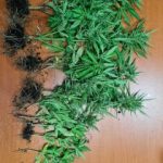 01072021voreioaigaio002s