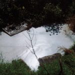 24122021dikografiaripansi002