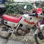 05012022klophionia003