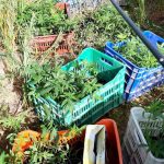 01052022kannavikrhth001