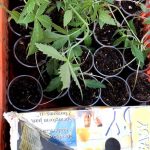 01052022kannavikrhth002