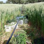 01052022kannavikrhth003