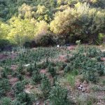 04082022fyteiesdytellada004