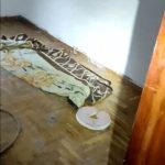 05082022eksarxeia003