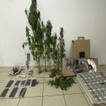 05082022katerininark