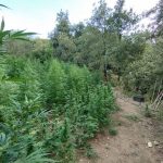 05082022messinia003
