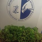 17-12-2022 ΦΩΤΟ 1 ΔΕΝΔΡΥΛΛΙΑ