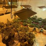 26122022narkotikathes002