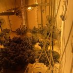 26122022narkotikathes004