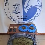 17012023narkmessinia