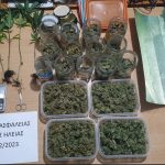 11022023narkdytellada