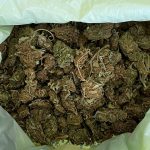 15.2.2023 peloponnisos-epixeirhseis