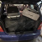 01032023hpeiroskannabi003