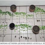 17-05-2023 Χίος Ναρκωτικά (2)