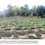 Εντοπισμός φυτειας κάνναβης 1
