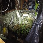 11092023gadaperama (3)