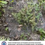 Κατάσχεση κάνναβης ΑΤ Παιονίας