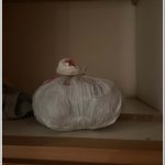 22022024gadth (4)
