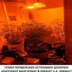 29022024amtnark