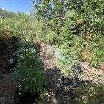 IMG-65f71eeecee894df0a14ccb1b4eaf34c-V